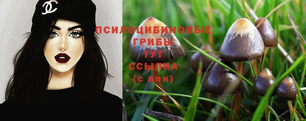 экстази Нягань