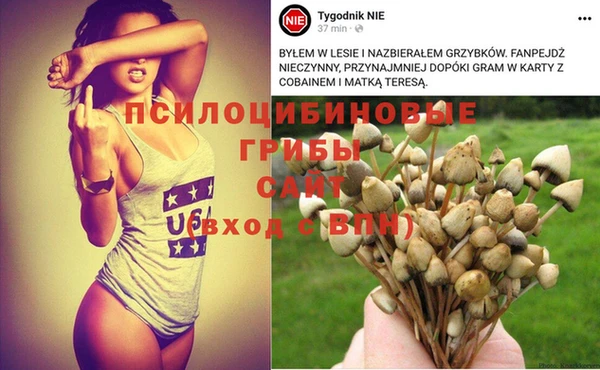 2c-b Новозыбков