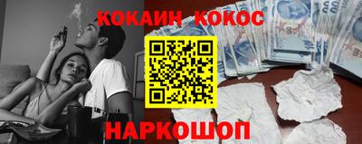 крисы Камышлов