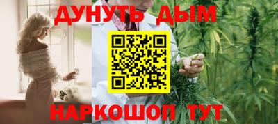 крисы Камышлов