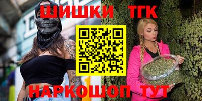 крисы Камышлов