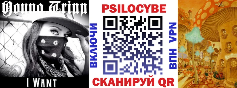 Галлюциногенные грибы MAGIC MUSHROOMS Тобольск