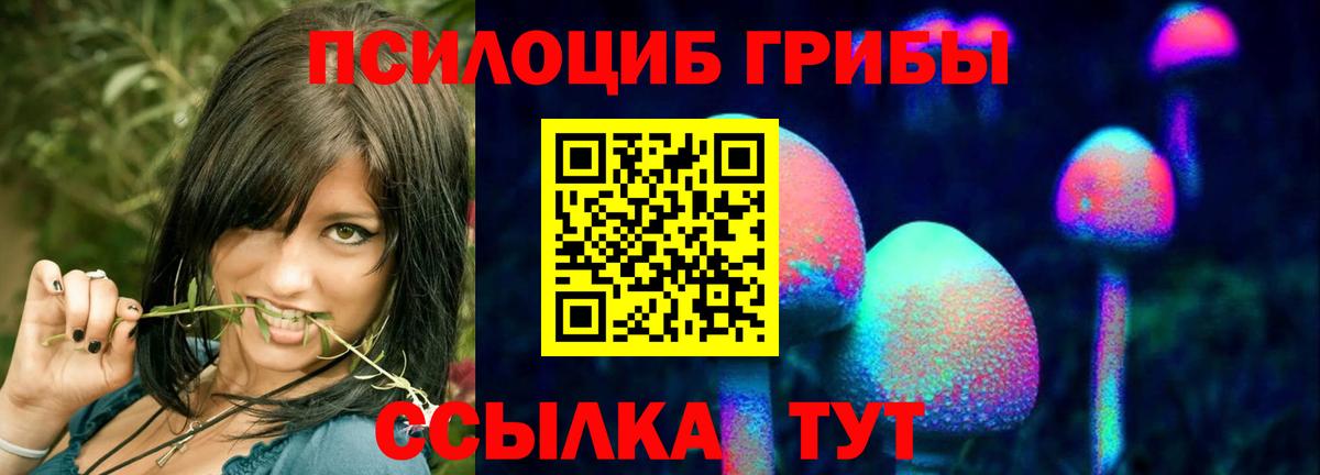 закладки  Псилоцибиновые грибы прущие грибы  Вход с VPN  Тобольск  Галлюциногенные грибы мицелий 